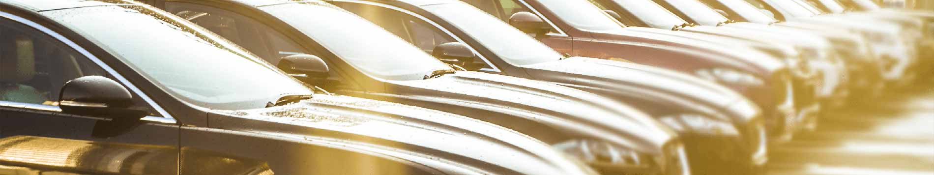 Meet Our Team Page Image